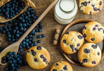 Blueberry Protein Muffin